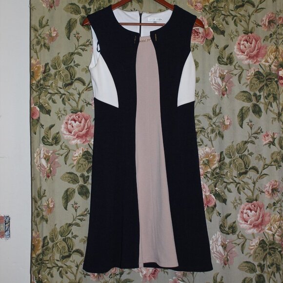 Sandra Darren Colorblock Fit and Flare Dress - Picture 3 of 8